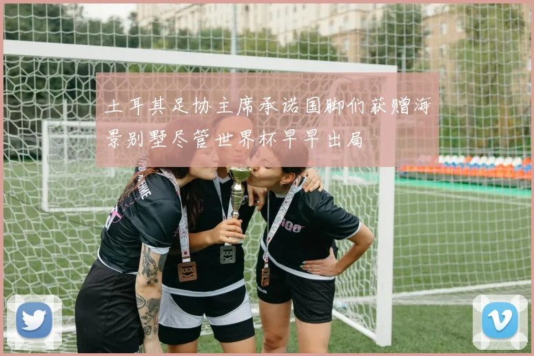土耳其足协主席承诺国脚们获赠海景别墅尽管世界杯早早出局